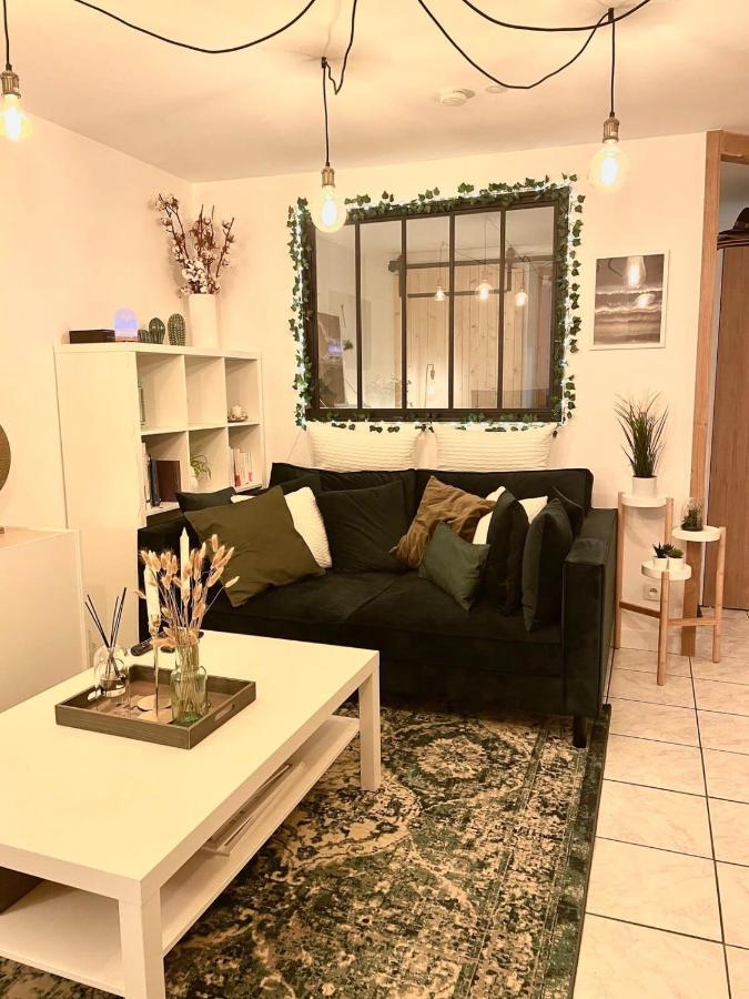 Petit Cocon Au Coeur D'Annecy Apartment Exterior foto